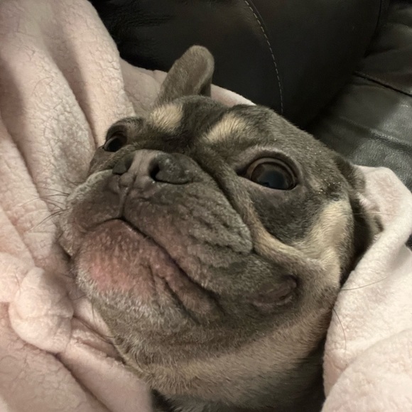 Meet your Posher, Angela - Picture 9 of 9